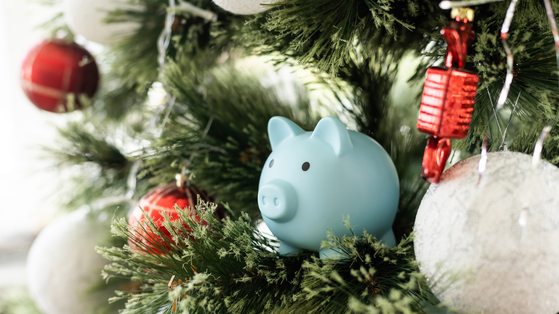 Christmas savings piggy bank.